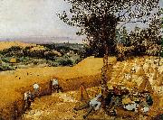 BRUEGEL, Pieter the Elder The Harvesters gf oil on canvas